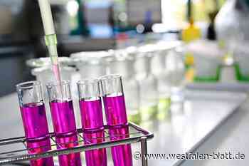 Drogen im Internet verkauft