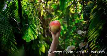 Dole Packaged Foods navigates trade challenges to make 2025 the ‘year of the mango’