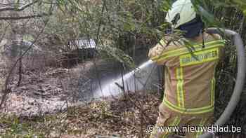 Brandweer blust bosbrandje aan Europalaan in Genk