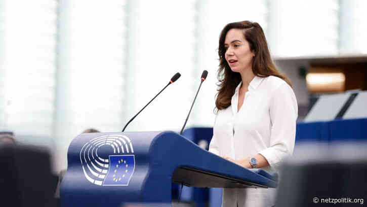 Tech-Souveränität im EU-Parlament: Demokraten gegenüber Rechtsextremen uneins