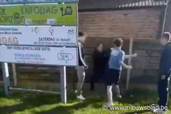 Twee daders van zinloos geweld in Gistel in jeugdinstelling geplaatst, derde mag beschikken onder strikte voorwaarden