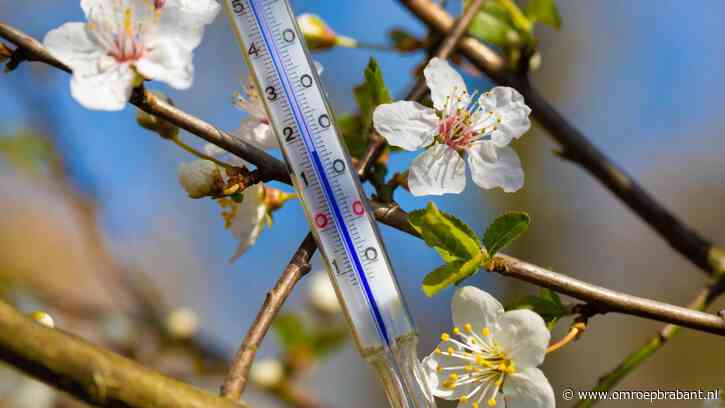 Warmste 21 maart ooit gemeten, record uit 1938 verbroken