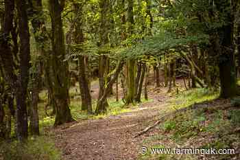 Defra confirms creation of new national forest in west of England