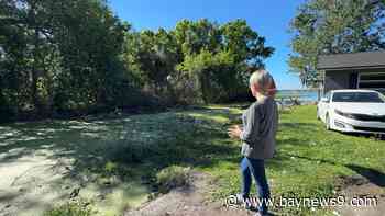 Lake Bonny residents call for independent investigation into flooding after Milton