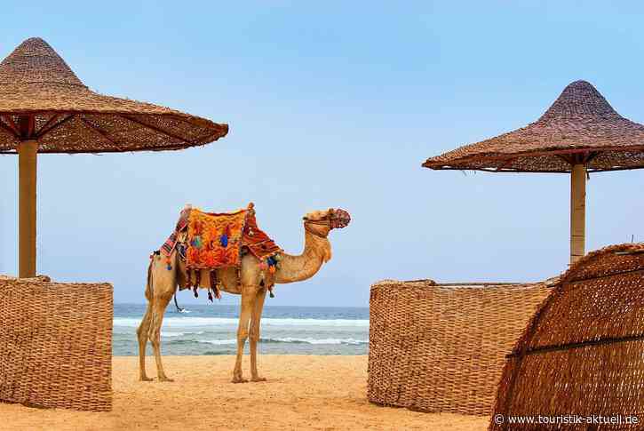 Alltours: Inforeise nach Marsa Alam
