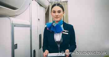 Flight attendant urges all tourists to 'never touch' one part of plane bathroom