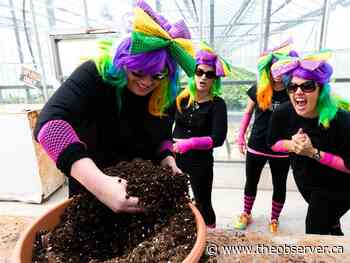 Sarnia's Race to Erase looking for teams