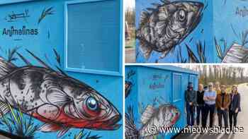 Metersgrote stekelbaars siert elektriciteitscabine in Sint-Katelijne-Waver