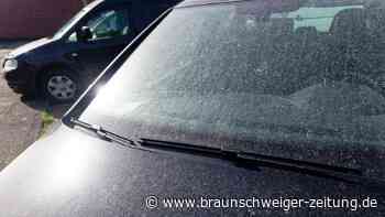 „Zellschädigende Wirkung“: Ist Sahara-Staub gefährlich?