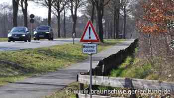 Radwegsanierung Westerbeck: Keine Umleitung über Dannenbüttel