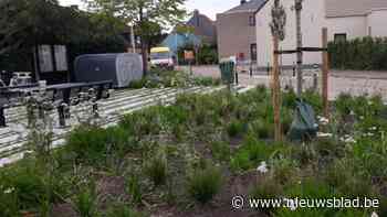 Nieuw kampioenschap Tegelwippen met gemeenten uit Antwerpse zuidrand