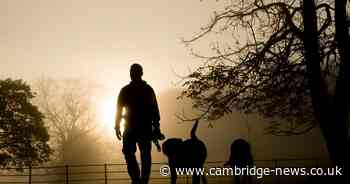 Just ten dog fouling fines issued by Northamptonshire council in two years