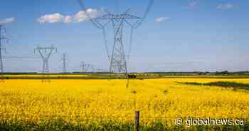 China’s tariffs on Canada are in place. What are they targeting?