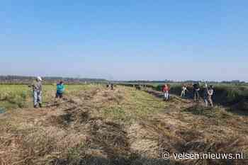 Groene vrijwilligersprojecten ontvangen financiële steun uit Betrekken bij Groen Fonds