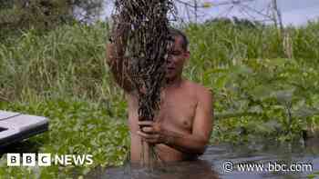 Oil giant's leaked data reveals 'awful' pollution