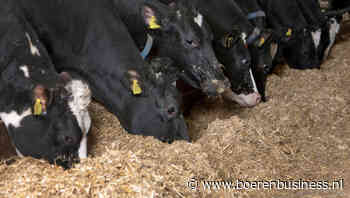 Nu ook MKZ in zuiden van Slowakije