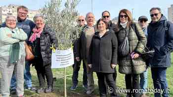 A Torrevecchia un ulivo in ricordo delle vittime innocenti delle mafie