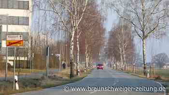 VW-Werk: Neue Straße durch Wolfsburger Naturjuwel?