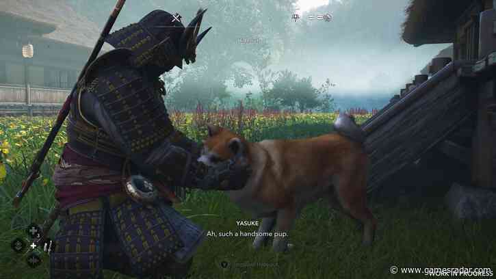 Assassin's Creed Shadows lets you add dozens of cute animals to your hideout, and all you have to do is pet them