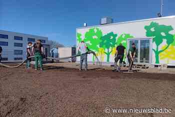 De Wijnpers legt hoogste maaiveld van Leuven aan