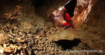 Mysteriöser Fund in Fränkischer Schweiz: Woher stammen die Knochen-Berge?