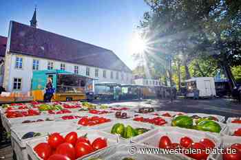 Altstadtraum: Grüne verteidigen Engagement der Verwaltung in Bielefeld