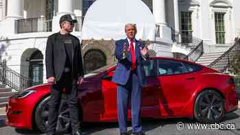 From bumper stickers to boycotts, how Tesla owners are distancing themselves from Elon Musk