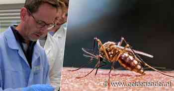 Wonen in groen en aan water: spelen we het dodelijkste dier ter wereld in de kaart?