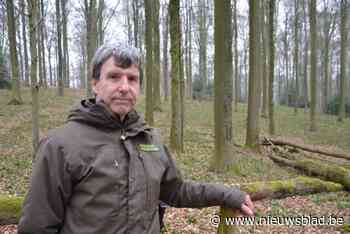 OP LENTESAFARI. Volgens boswachter Yvan heeft Brakelbos véél meer te bieden dan bekend paars bloementapijt: “Je vindt hier zelfs bedreigde diersoorten”