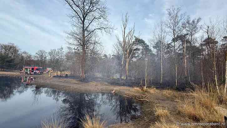 'Fikkie stoken' loopt uit de hand: 500 vierkante meter bos in brand