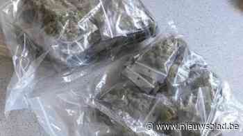 Politiehond vindt zak cannabis die drugsdealer in struiken had verstopt