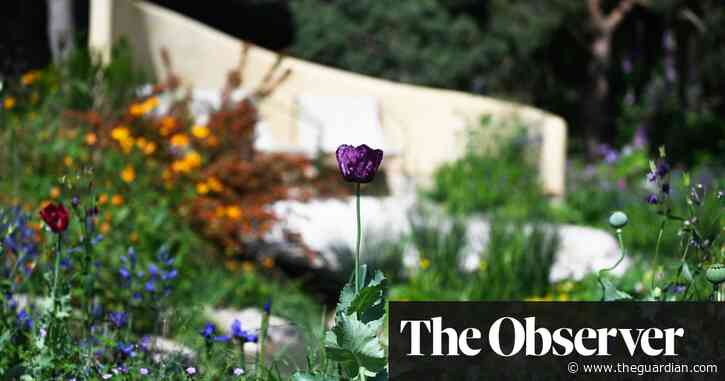 ‘It brings you in and shelters you’: NHS creates ‘recovery gardens’ for staff and patients