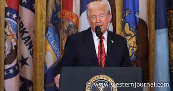 Trump Reveals He Has a Special Destination in Mind for 'Sick Terrorist Thugs' Targeting Tesla