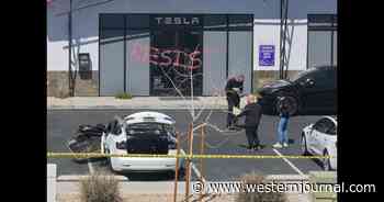 Chilling Trend Shows up With Tesla Terrorists - Do We Now Know Exactly Where Many Came From?