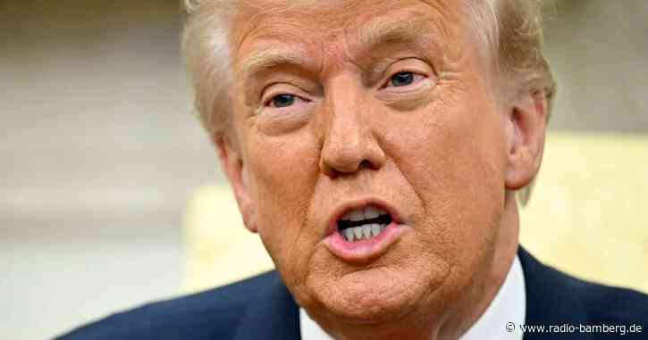 Trump: Tesla-Vandalismus schlimmer als Kapitol-Attacke