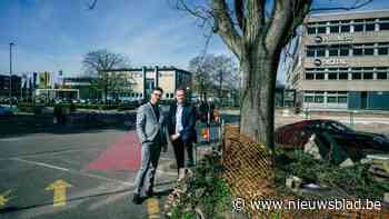 Hogeschool PXL gaat verbouwen, verhuizen én vergroenen in Elfde Liniestraat