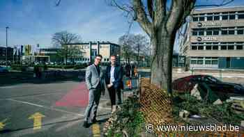 Hogeschool PXL gaat verbouwen, verhuizen én vergroenen in Elfde Liniestraat