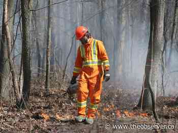 Prescribed burn planned for Port Franks protected wildlife habitat land