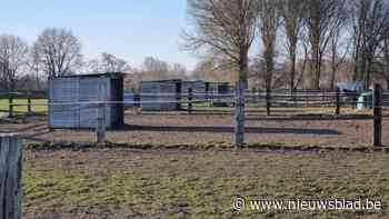 Drie personen aangehouden in onderzoek naar zware mishandeling van twee mannen in Puurse paardenstal