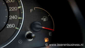 Aanbod in het rood, gevecht om varkens laait verder op