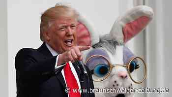 Trump steckt in der größten Eier-Krise seines Lebens