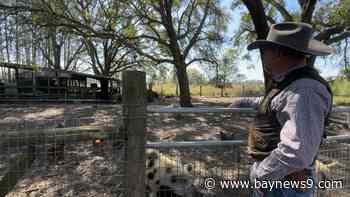 'We’ll be done:' Local ranch in jeopardy due to potential parkway routes