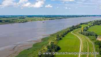 Studie: Flüsse in Niedersachsen in schlechtem Zustand