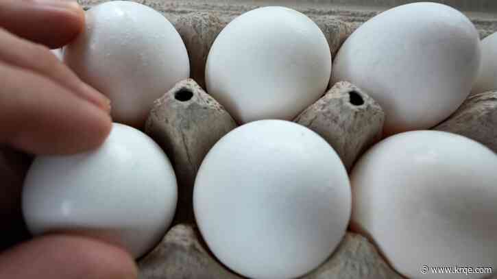 Trump administration to import eggs from Turkey, South Korea