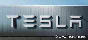 Ambitionierte Roboter-Pläne: Musk rät, keine Tesla-Aktien zu verkaufen