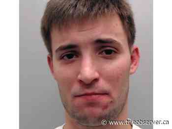 Wanted Sarnia man quickly gets bail after turning himself in