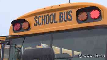 2 minor injuries reported after school bus veers off the road: Manitoba RCMP