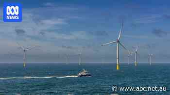 Three more companies pull out of WA offshore wind project