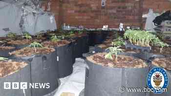 Seventeen arrested in county lines crackdown