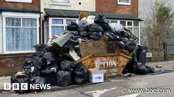 Rubbish piles high in city as bin strike drags on
